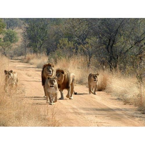 Zanzibar Covert Tour