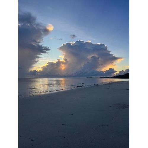 Zanzibar in Dar! A newly renovated 3br villa